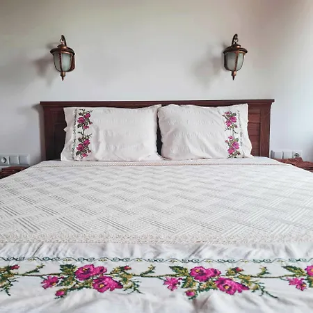 Eco St Ignatius еко лодж игнажден *